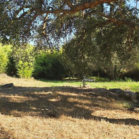 Quinta Da Utopia Castelo de Vide Bagian luar foto