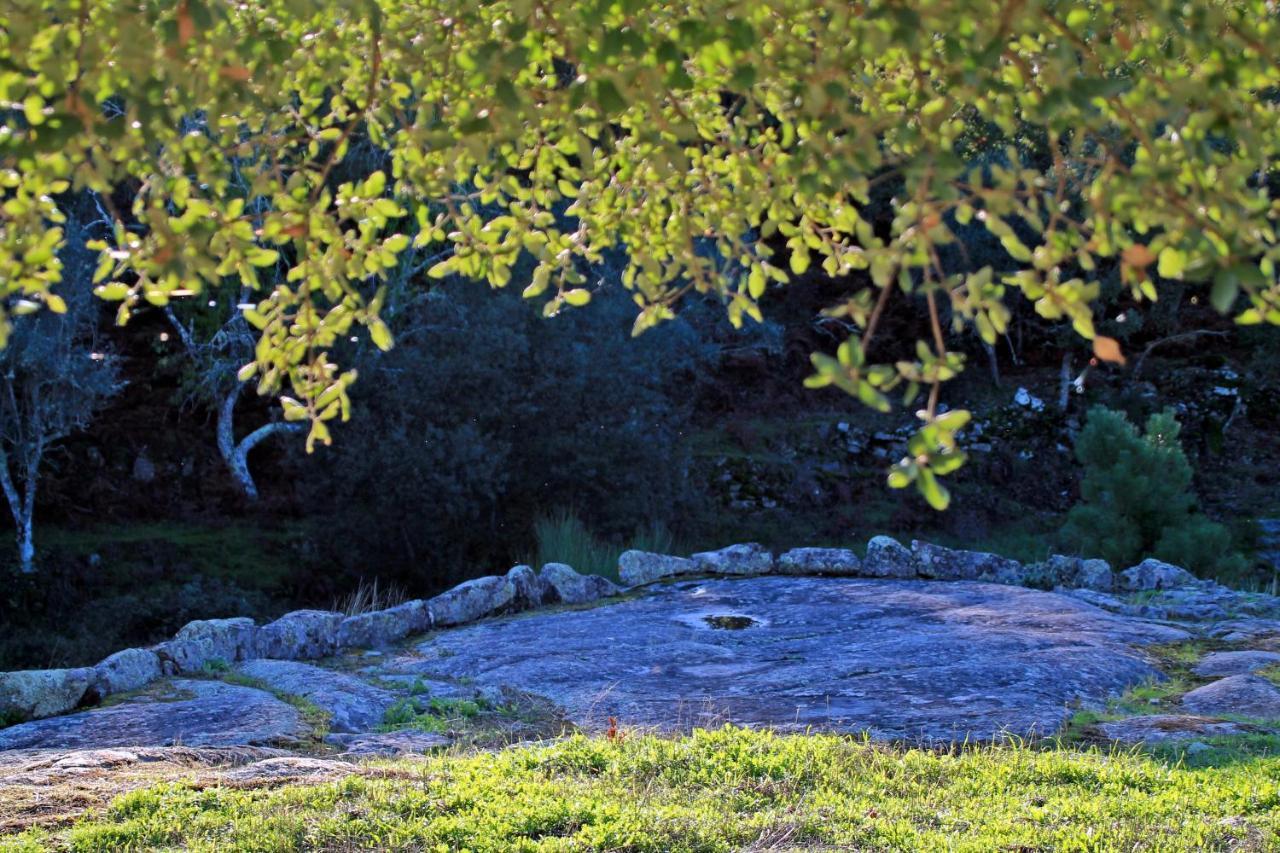 Quinta Da Utopia Castelo de Vide Bagian luar foto