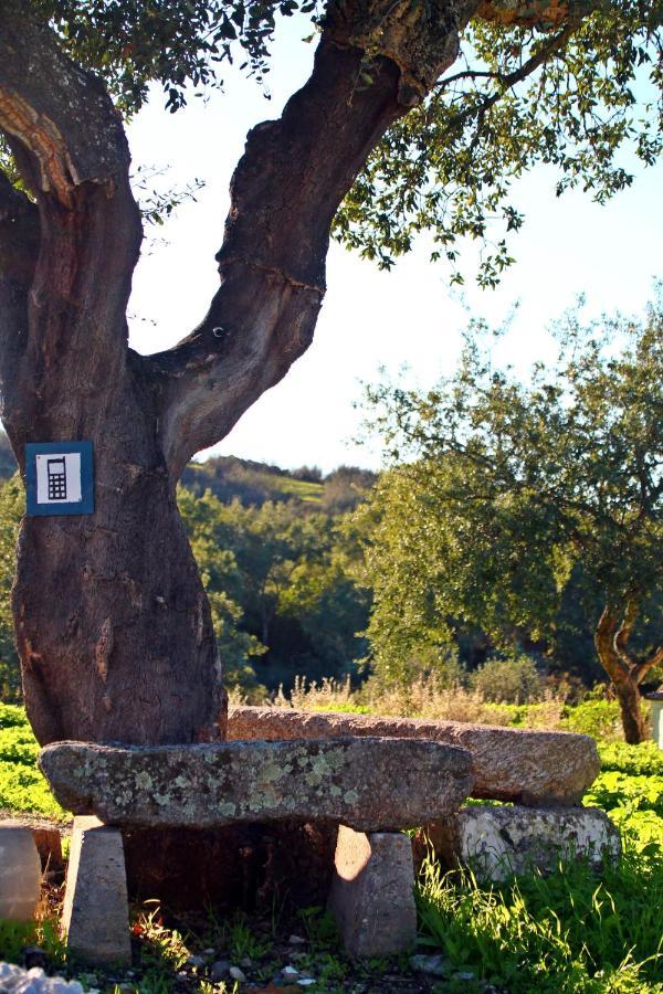 Quinta Da Utopia Castelo de Vide Bagian luar foto