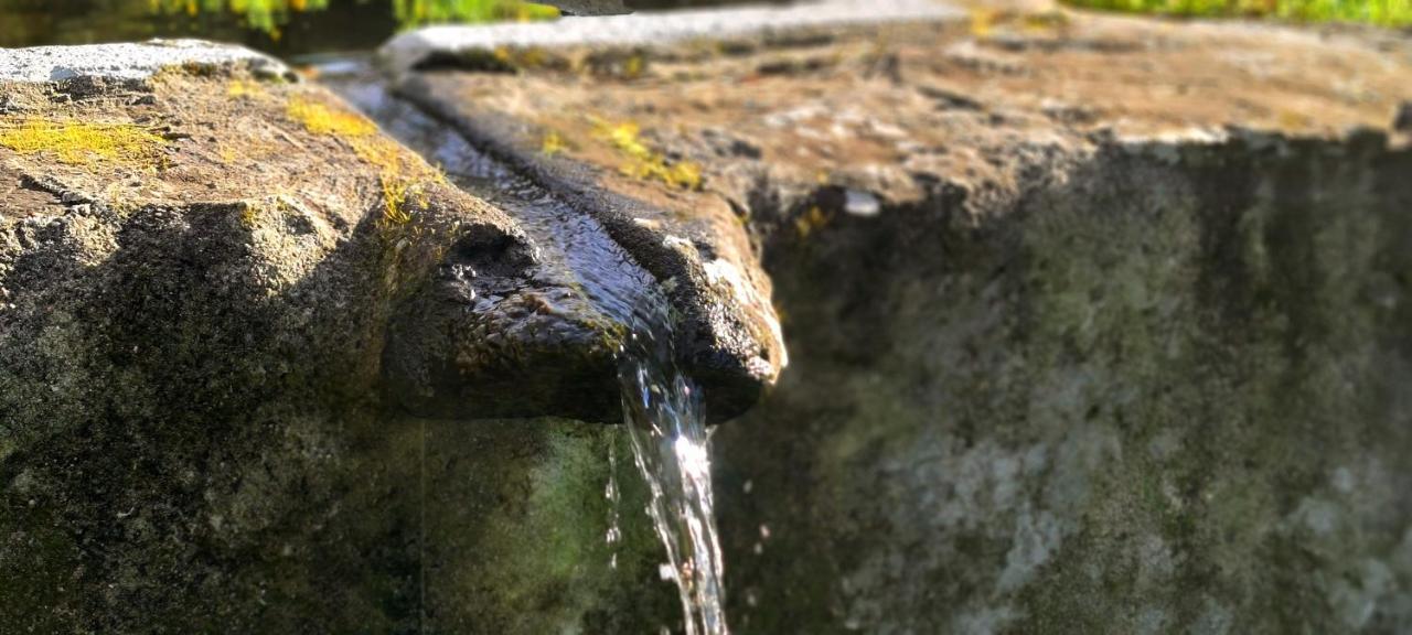 Quinta Da Utopia Castelo de Vide Bagian luar foto