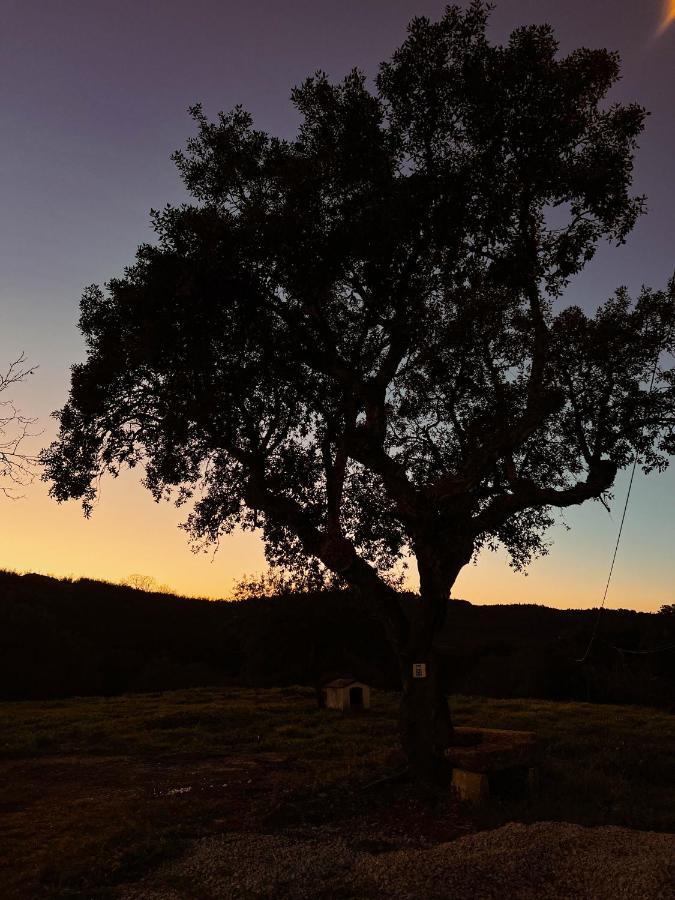 Quinta Da Utopia Castelo de Vide Bagian luar foto