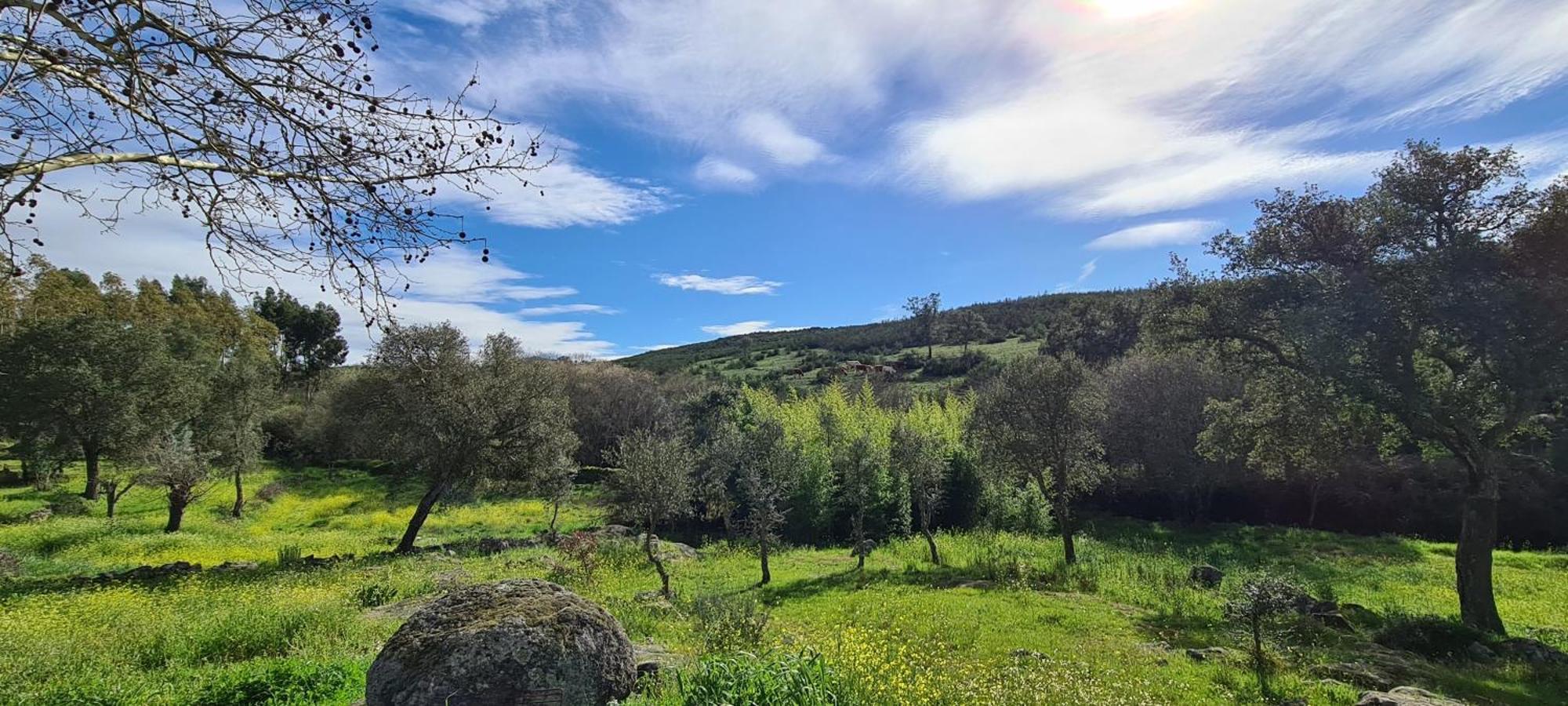 Quinta Da Utopia Castelo de Vide Bagian luar foto