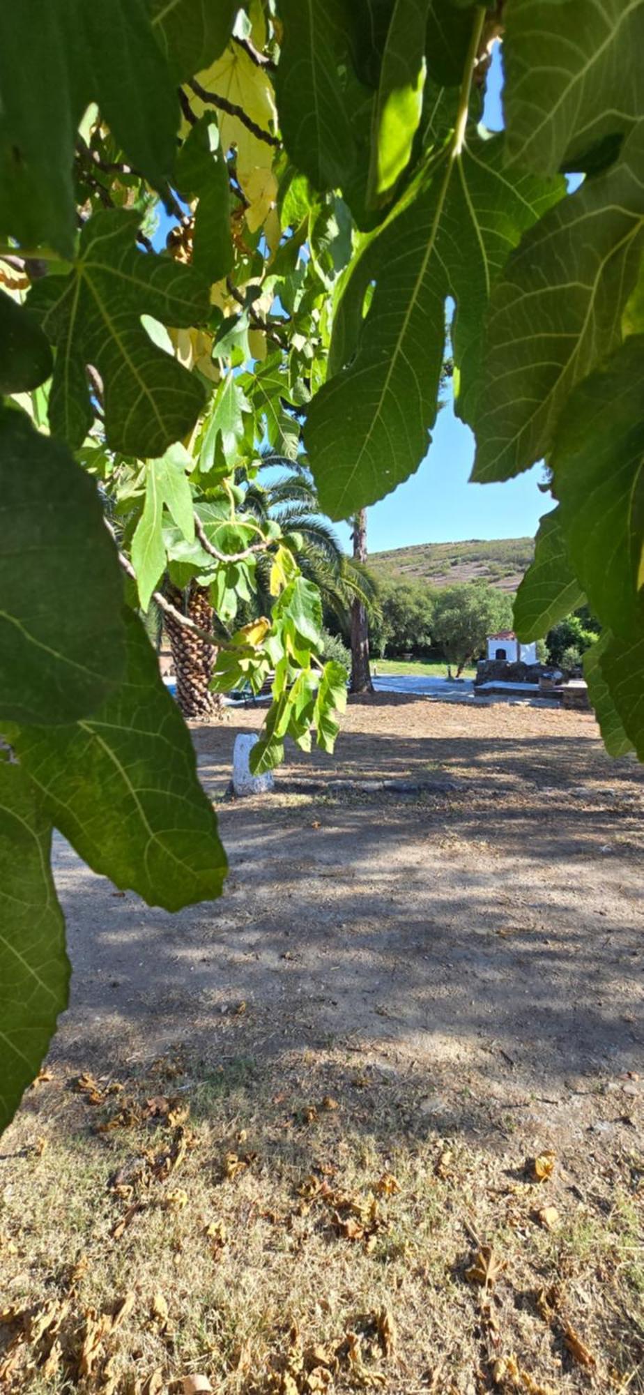 Quinta Da Utopia Castelo de Vide Bagian luar foto