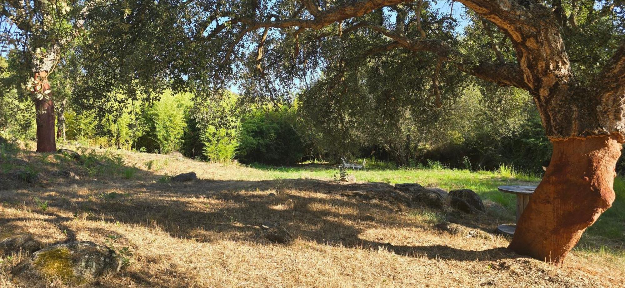 Quinta Da Utopia Castelo de Vide Bagian luar foto
